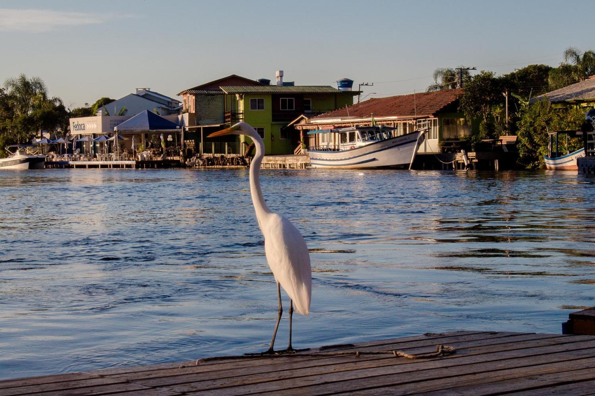 Pousada Quinta Da Margem Florianópolis Eksteriør bilde