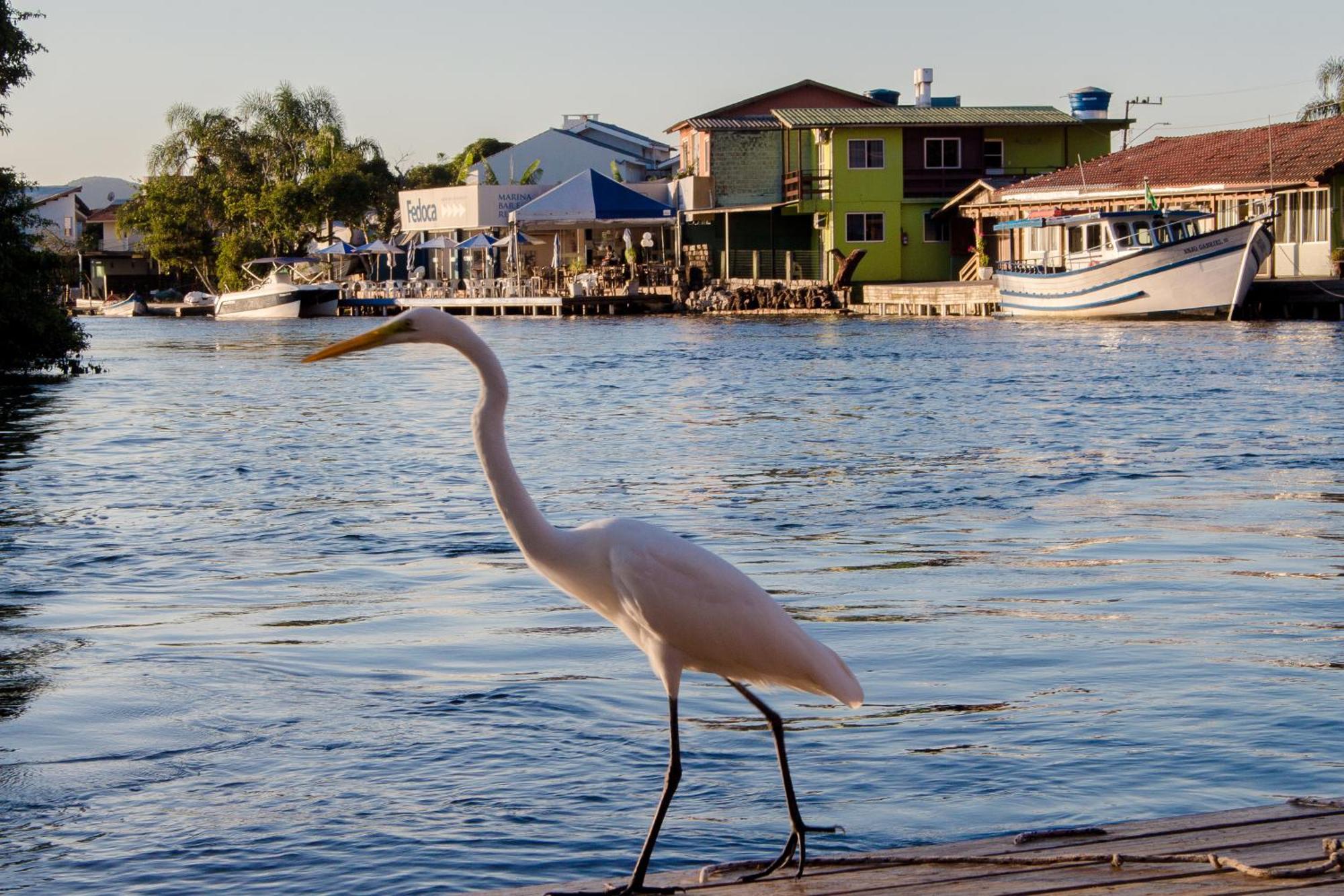 Pousada Quinta Da Margem Florianópolis Eksteriør bilde